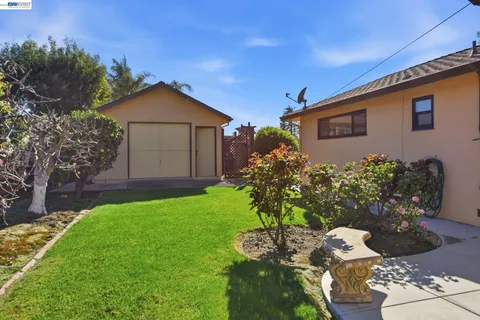 a view of a backyard