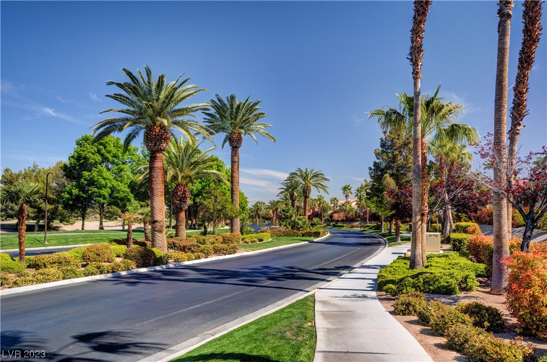 532 Foster Springs Road Las Vegas, NV 89148 - Photo 64 of 94 Gallery Image 64