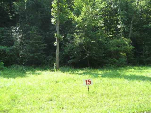 Block No 6 Block Road Russell, KY 41169 - Photo 3 of 5