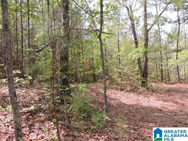204 County Road, Unit 87 Wedowee, AL 36278 - Photo 5 of 11