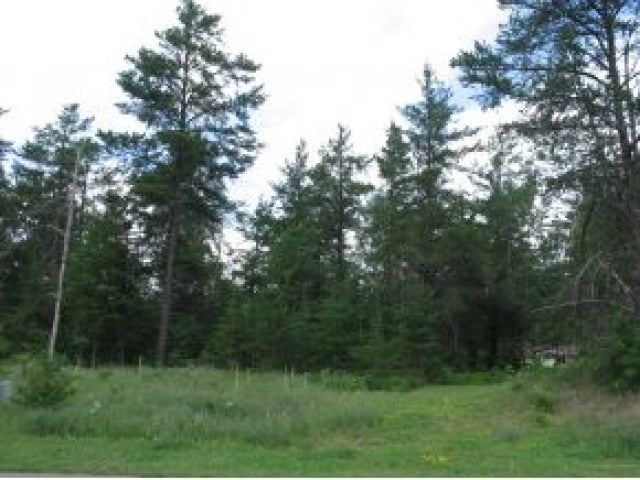 Lot 36 Pine View Drive Rhinelander, WI 54501 - Photo 4 of 7 Gallery Image 4
