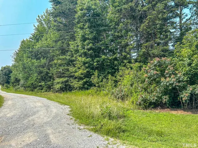 a view of a yard with a trees