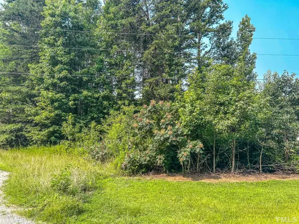 a view of outdoor space with a garden and trees