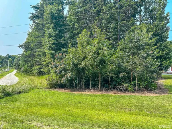 a backyard of a house with swimming pool and green space