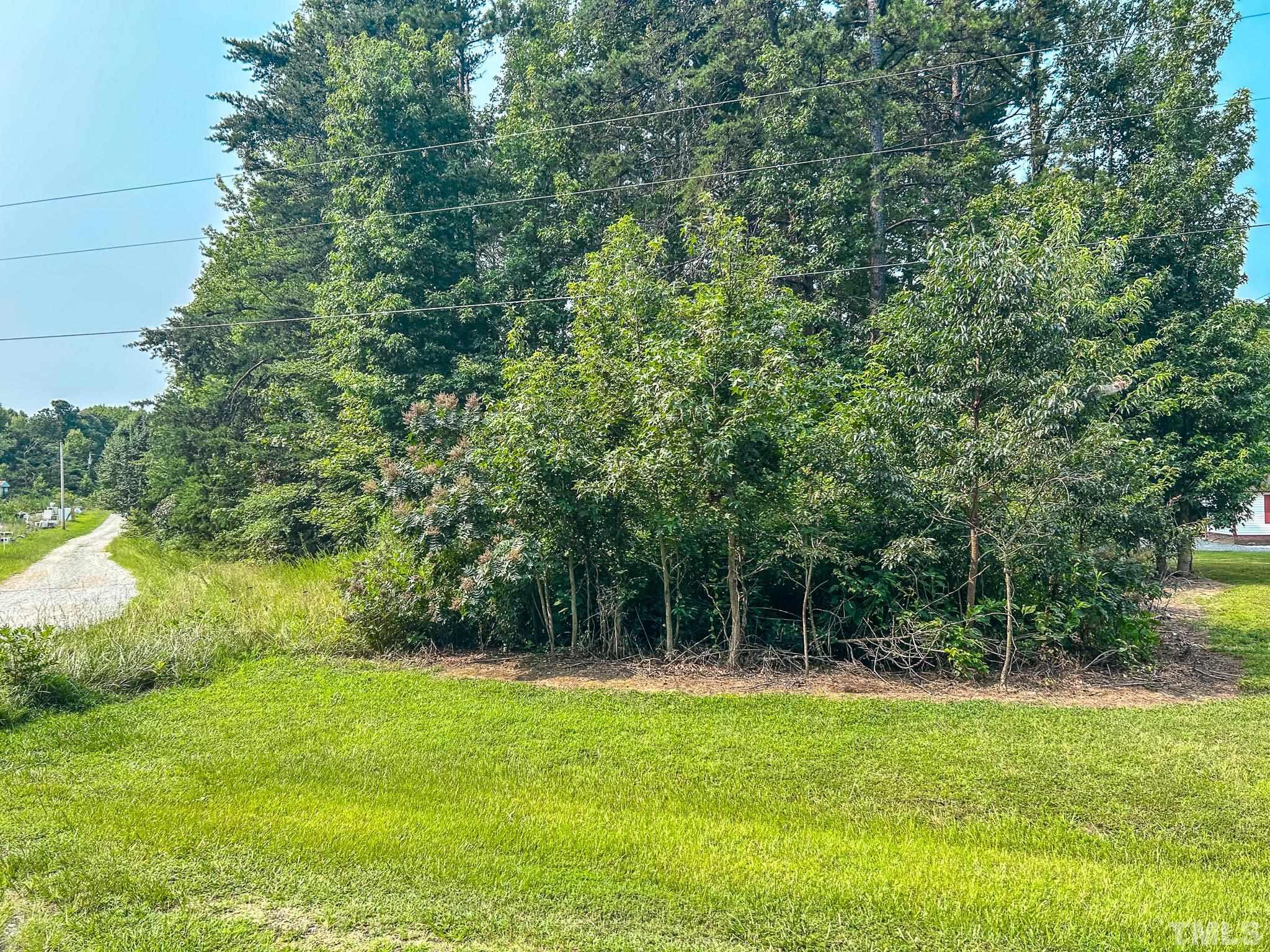 3.63-acres Ralph Bowes Road Semora, NC 27343 - Photo 5 of 5 a backyard of a house with swimming pool and green space