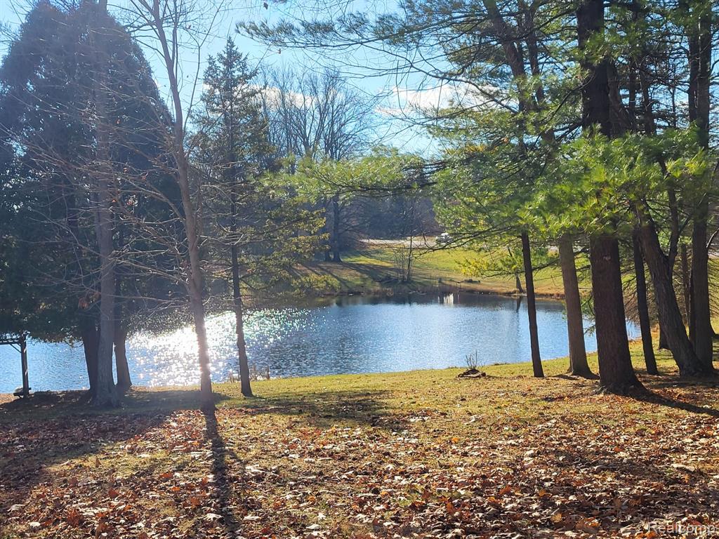 4662 North Lapeer Road Columbiaville, MI 48421 - Photo 4 of 19