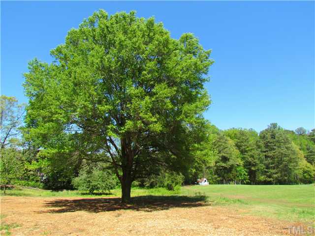2003 Page Road Durham, NC 27703 - Photo 22 of 25 Large Apple Tree to the left at the end of the yard.