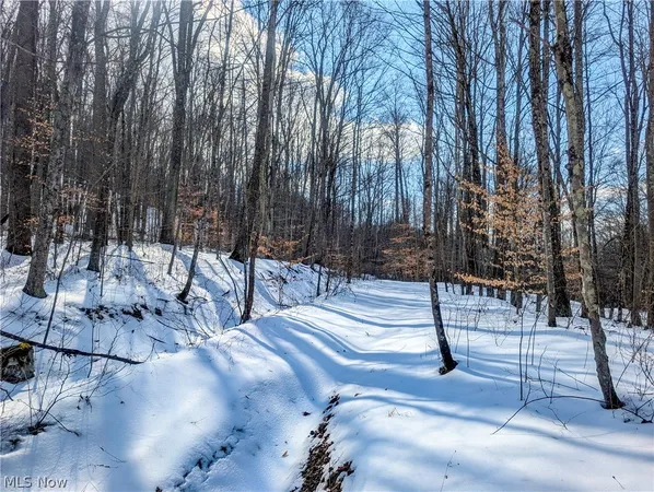 $1 | 15 Peaker Run, Macksburg, OH 45746