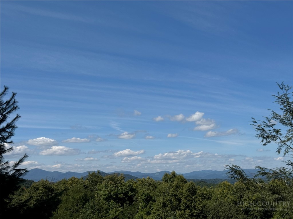 Lot 5 Wapiti Way Boone, NC 28607 - Photo 30 of 37 Gallery Image 30