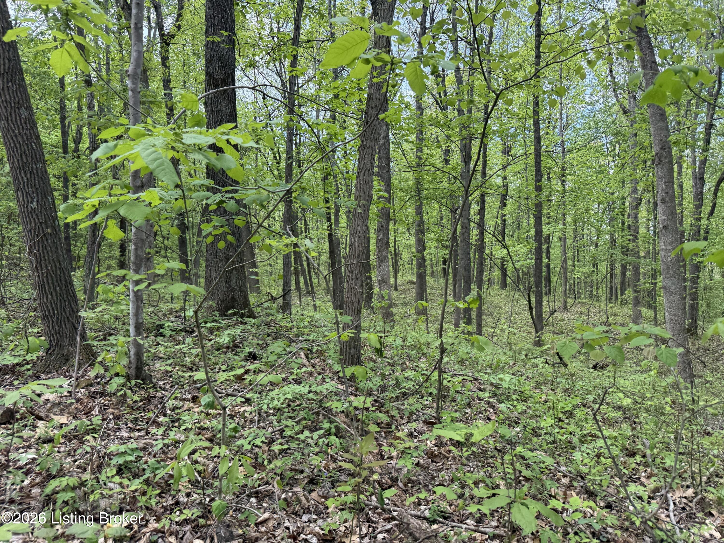 0 Wheeler Road Clarkson, KY 42726 - Photo 6 of 14 IMG_8992
