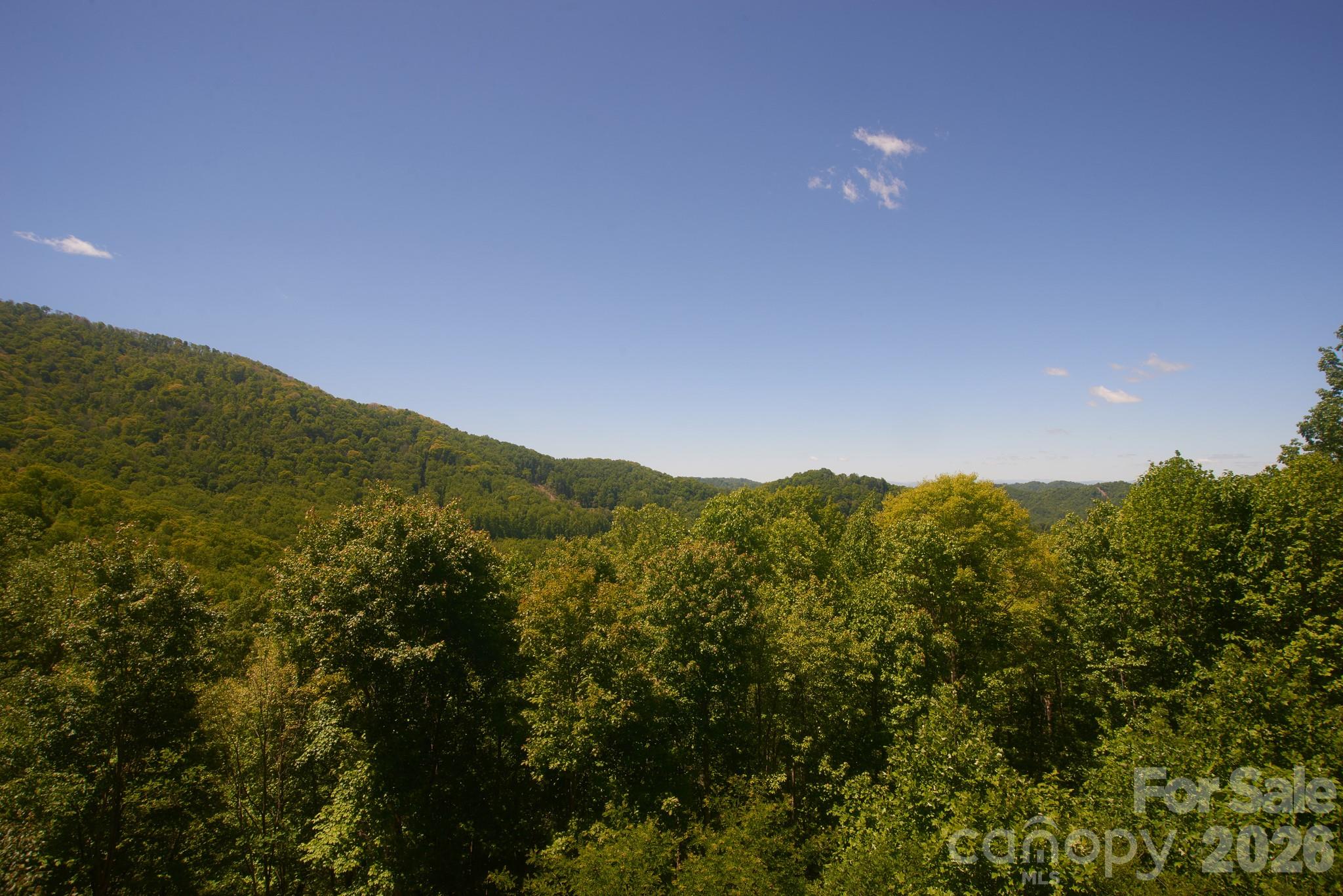 427 Spring Rock Road Burnsville, NC 28714 - Photo 16 of 43