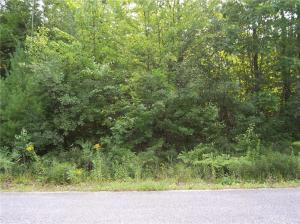 0 River Road Limington, ME 04049 - Photo 4 of 5 river6