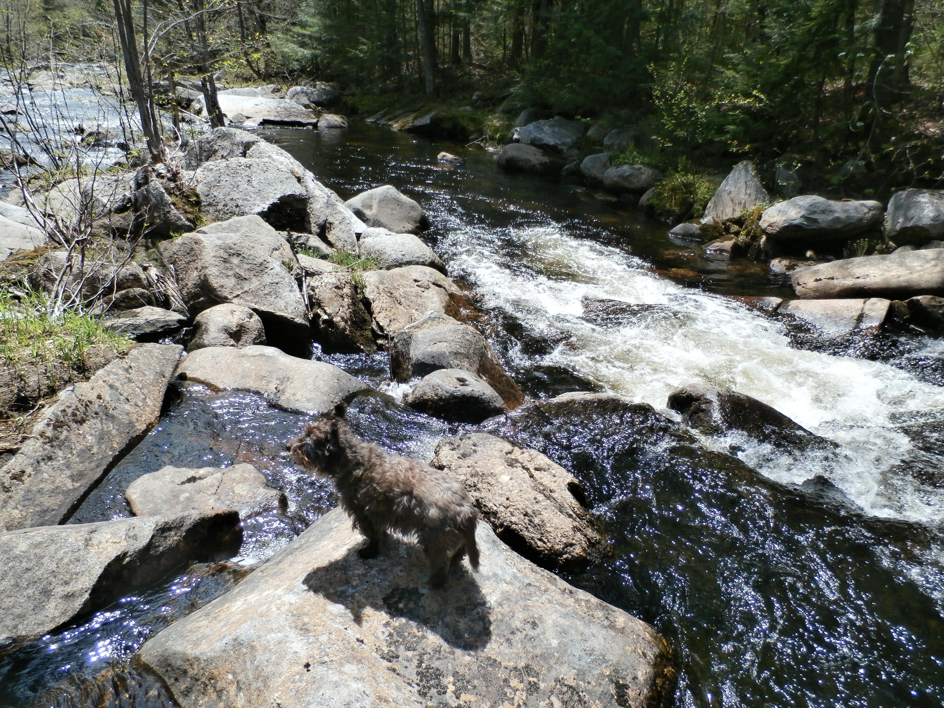 1021 South Arm Road Andover, ME 04216 - Photo 36 of 58 P5140876