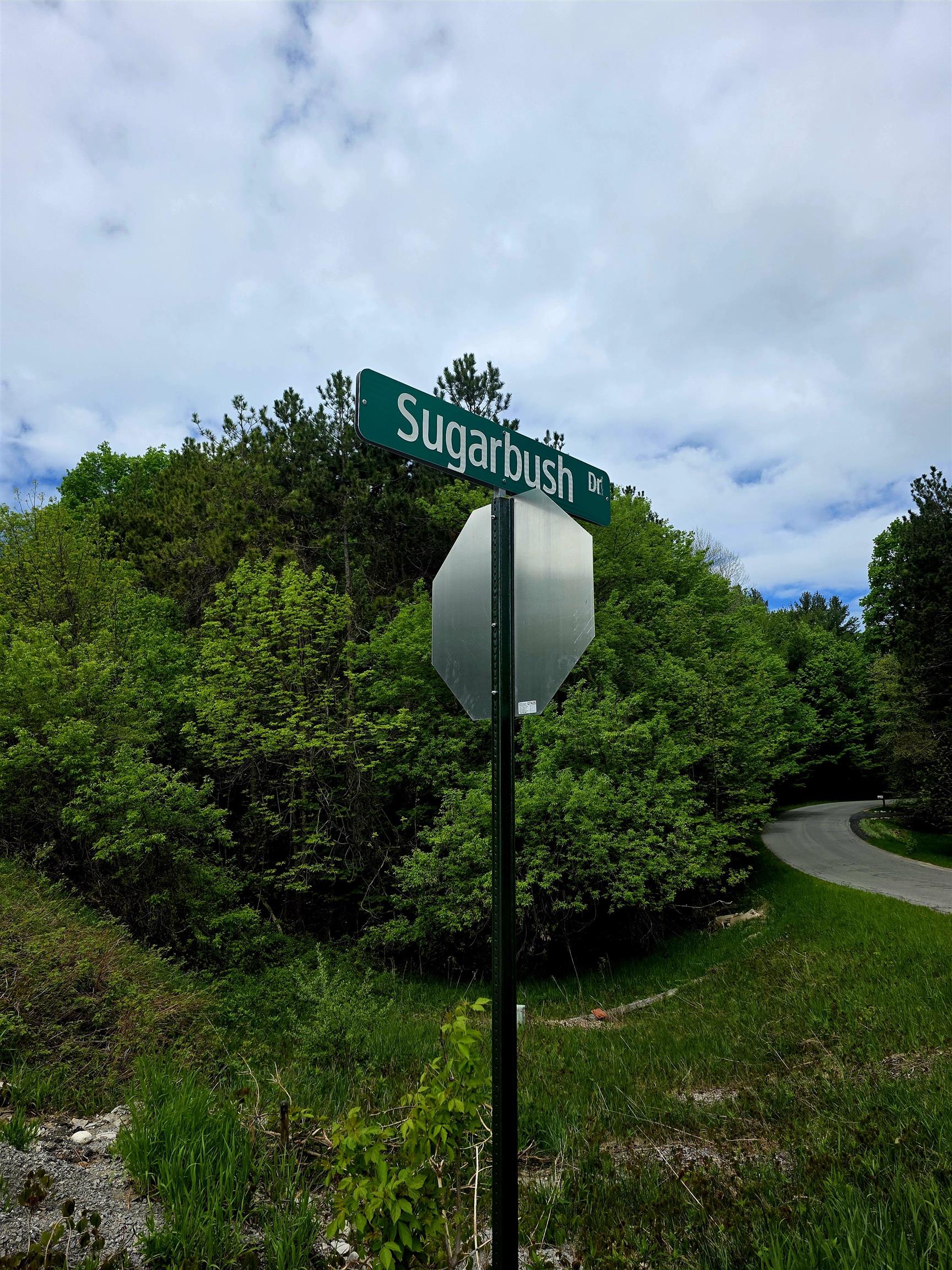 0 Sugarbush Road Kewadin, MI 49648 - Photo 18 of 19