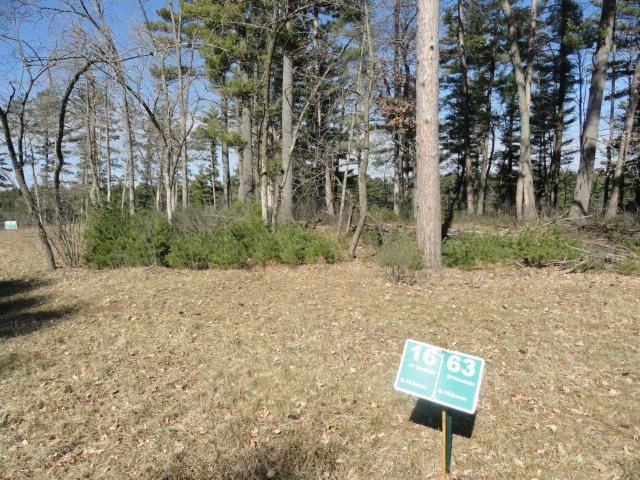Lot 15 Fly Rod Trail Wisconsin Rapids, WI 54494 - Photo 23 of 56