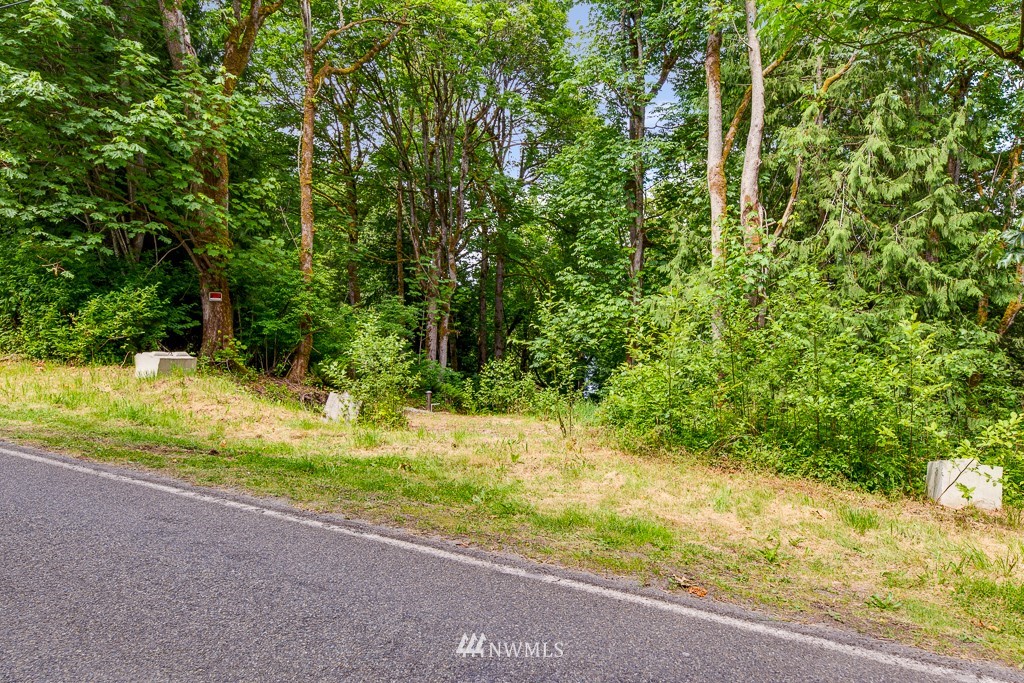 2229 Freestad Road Arlington, WA 98223 - Photo 3 of 18 Gallery Image 3