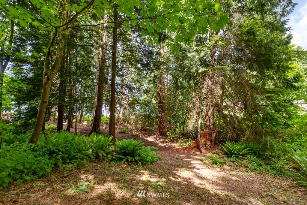 2229 Freestad Road Arlington, WA 98223 - Photo 8 of 18 Gallery Image 8