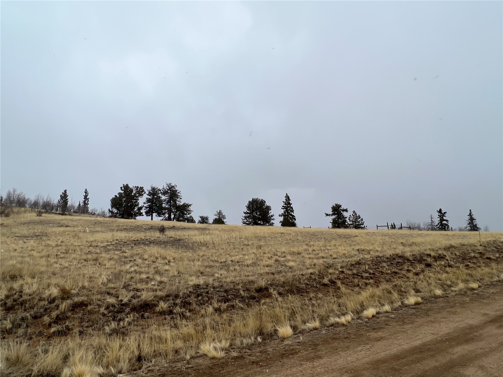 2189 Buffalo Ridge Road Como, CO 80456 - Photo 6 of 10 Gallery Image 6