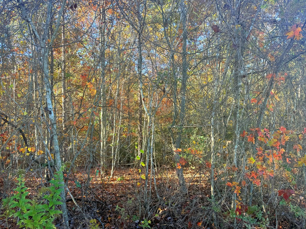 Lot 25 Hideaway Ridge Drive Murphy, NC 28906 - Photo 2 of 4