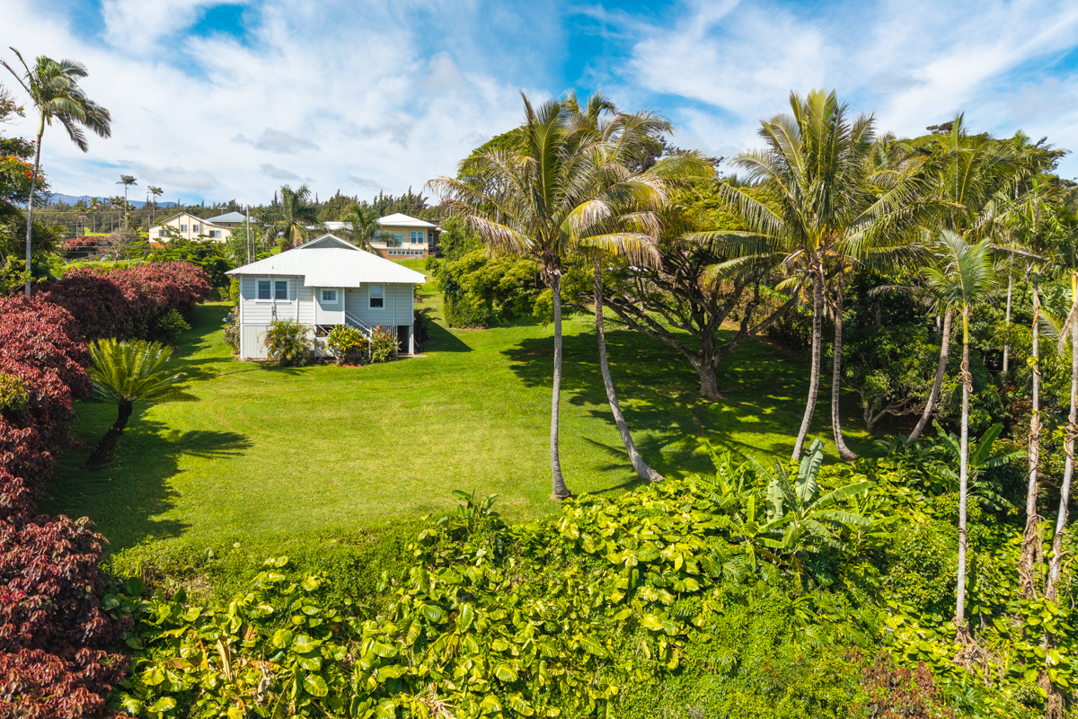 44-641 Hoolauna Loop Honokaa, HI 96727 - Photo 4 of 29