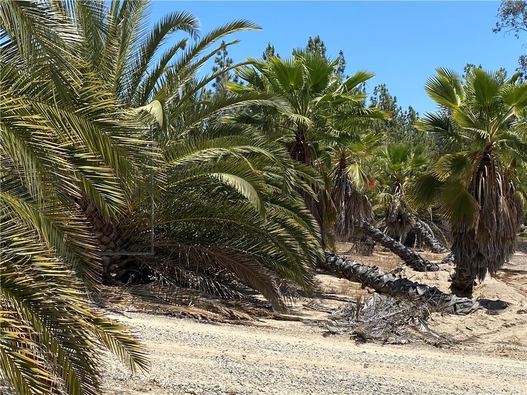 39300 Liefer Road Temecula, CA 92591 - Photo 15 of 28 a view of a backyard of the house