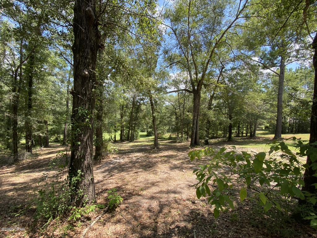 3582 Morris Hill Road Vernon, FL 32462 - Photo 21 of 25 Gallery Image 21