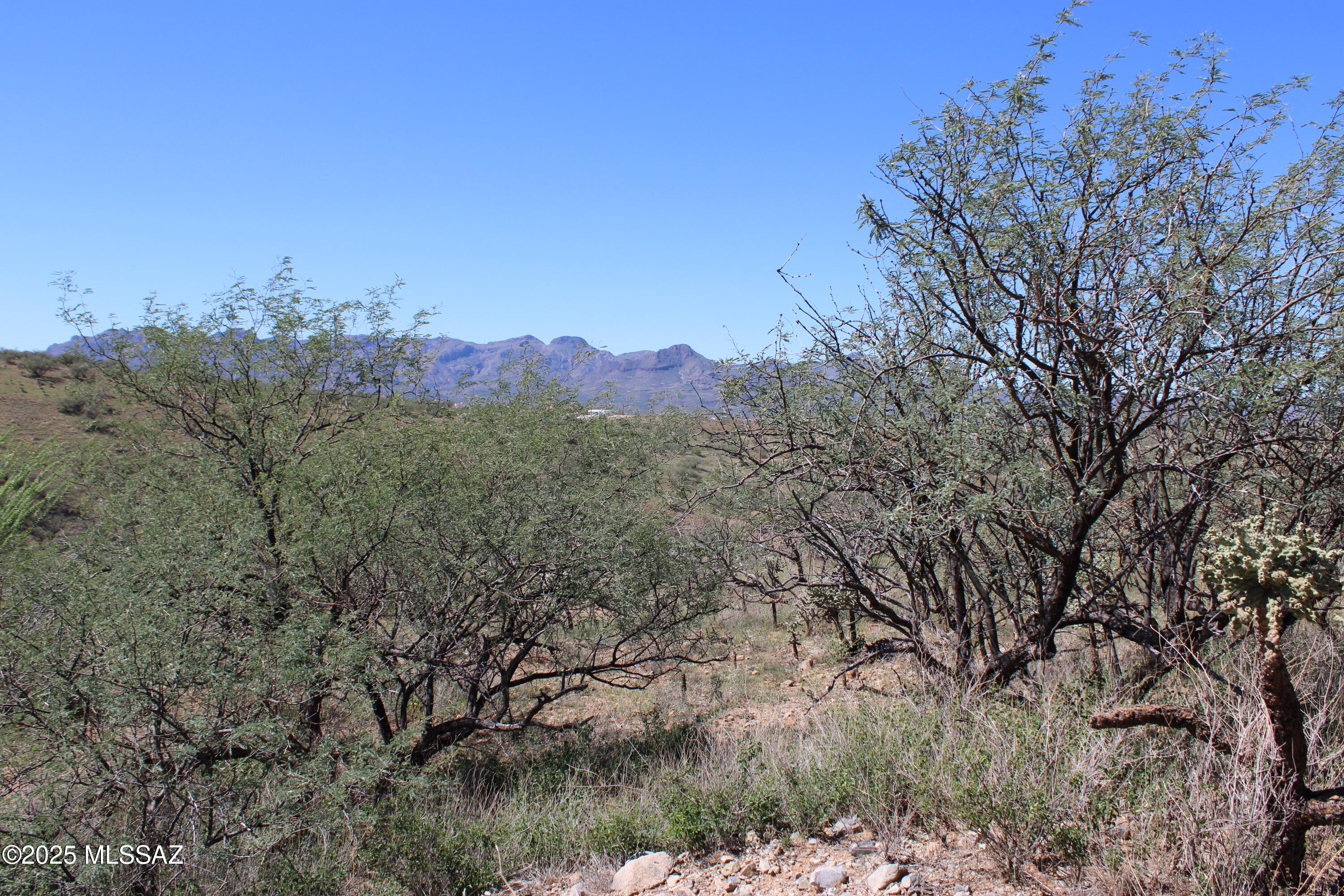 346 Anfibio Court, Unit 83 Rio Rico, AZ 85648 - Photo 6 of 14
