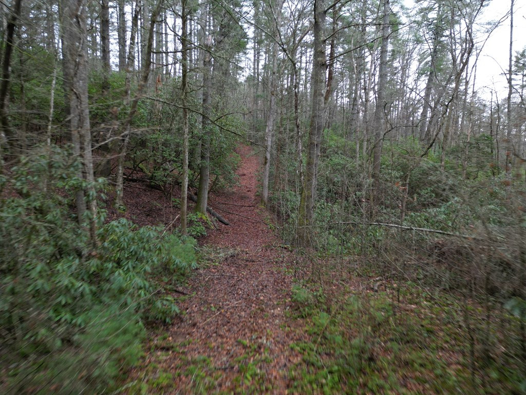 Tbd Dillard Road Murphy, NC 28906 - Photo 8 of 21
