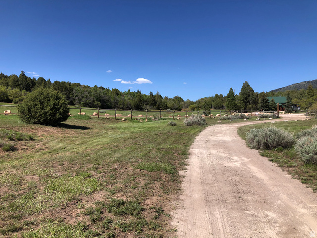 149 Meadow Road, Unit 149 Mount Pleasant, UT 84647 - Photo 9 of 16 View of dirt / gravel road with a rural view