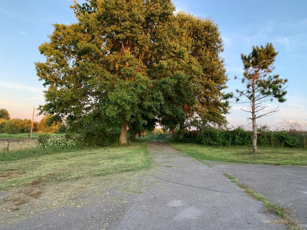 7900 Ecton Road Winchester, KY 40391 - Photo 20 of 44 117379_28