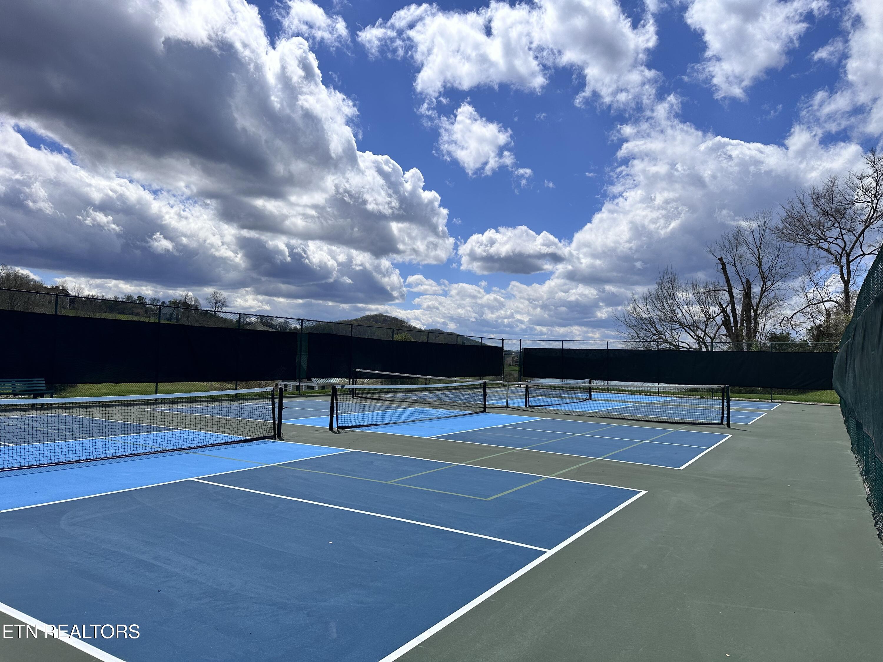 3385 Russell Brothers Road Sharps Chapel, TN 37866 - Photo 58 of 59 Sunset Bay Sport Courts