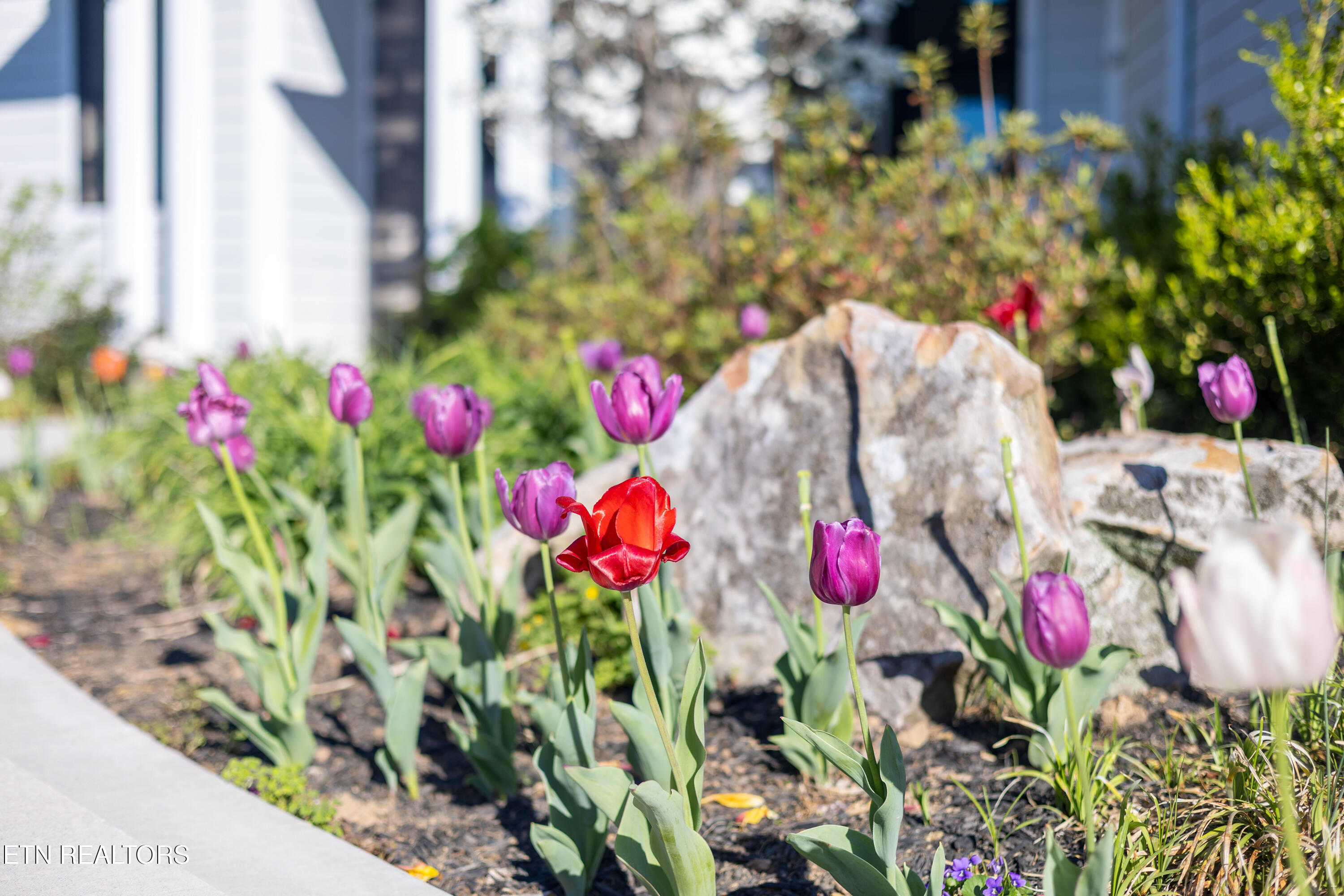 3385 Russell Brothers Road Sharps Chapel, TN 37866 - Photo 7 of 59 Front Yard