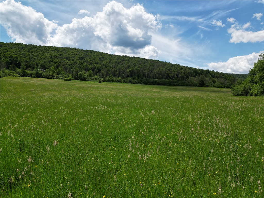Karr Valley Road Almond, NY 14804 - Photo 6 of 11
