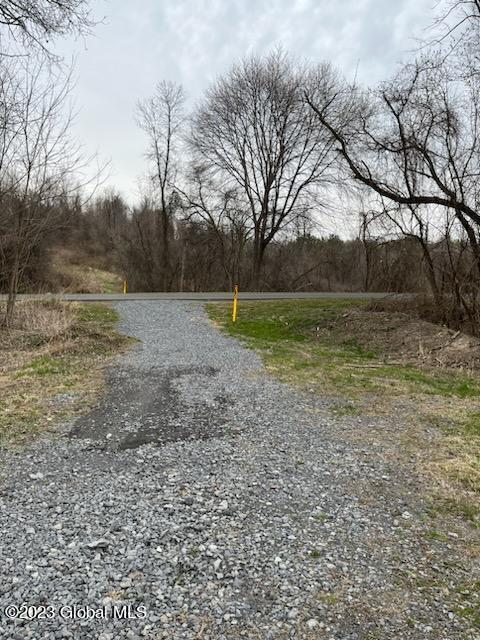 L1 Rockefeller Road Bethlehem, NY 12054 - Photo 2 of 2 Vac. Land Rockefeller Rd