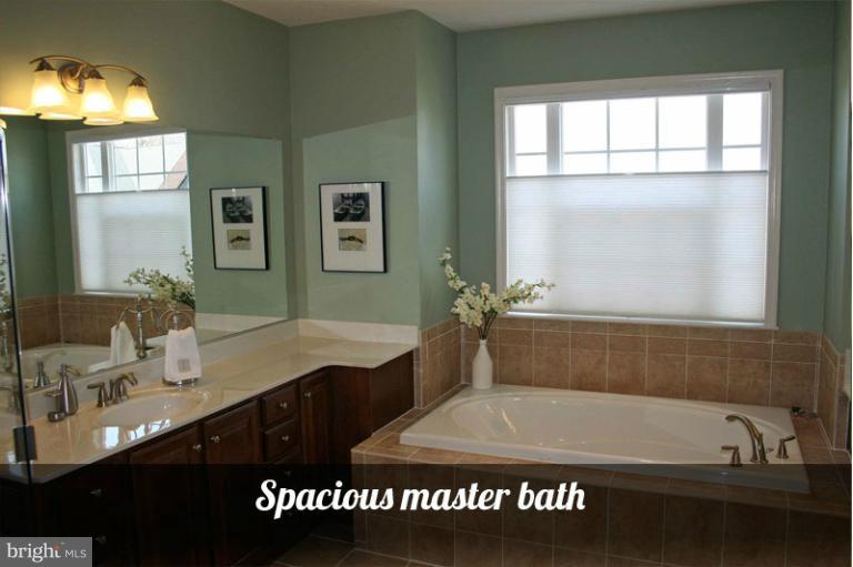 6900 Granite Ridge Court Baltimore, MD 21209 - Photo 6 of 30 Bath (Master)