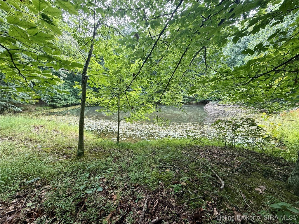 2032 West Goat Hollow Road Vallonia, IN 47281 - Photo 21 of 39