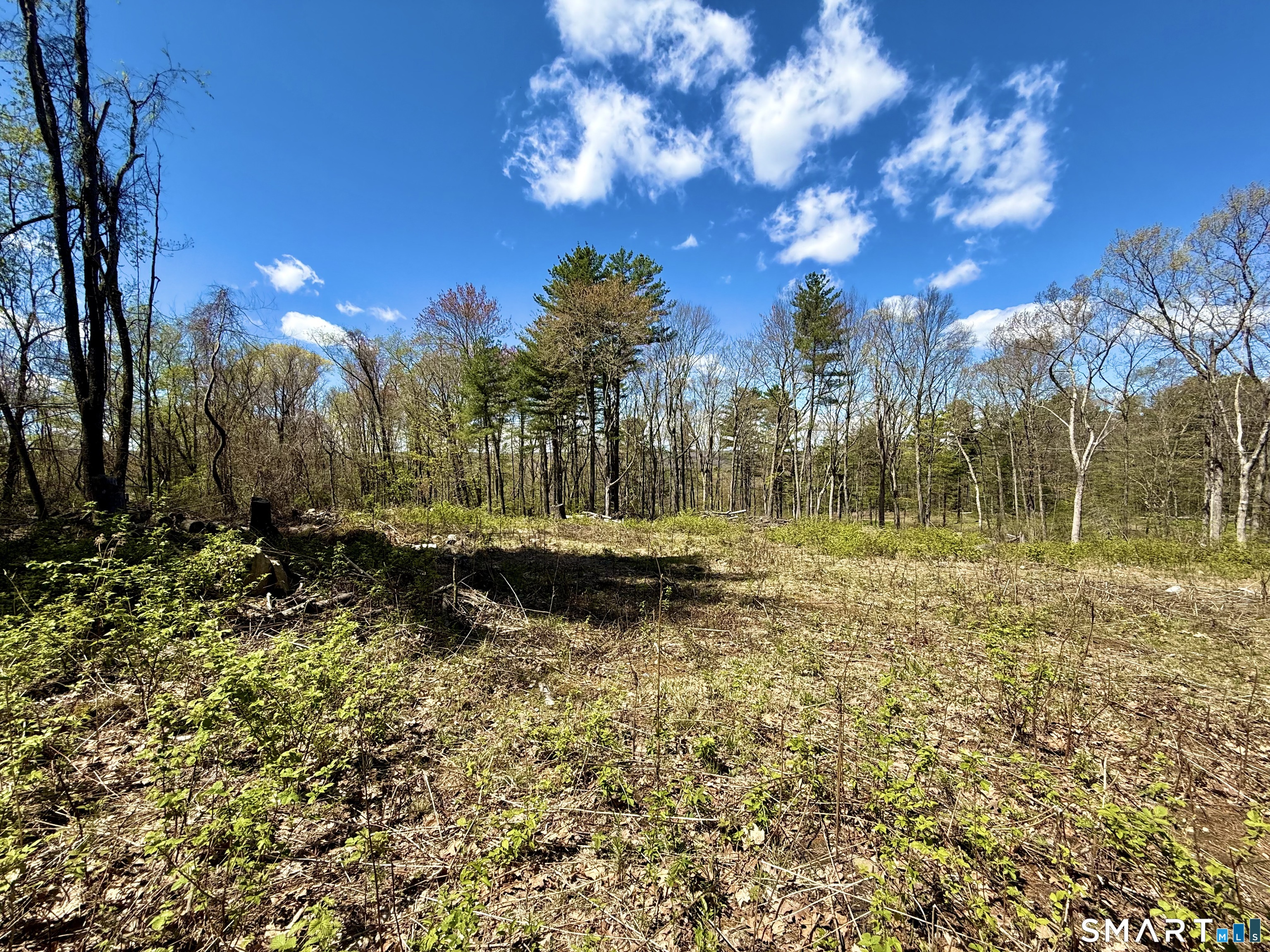 Clearview Avenue Harwinton, CT 06791 - Photo 11 of 29