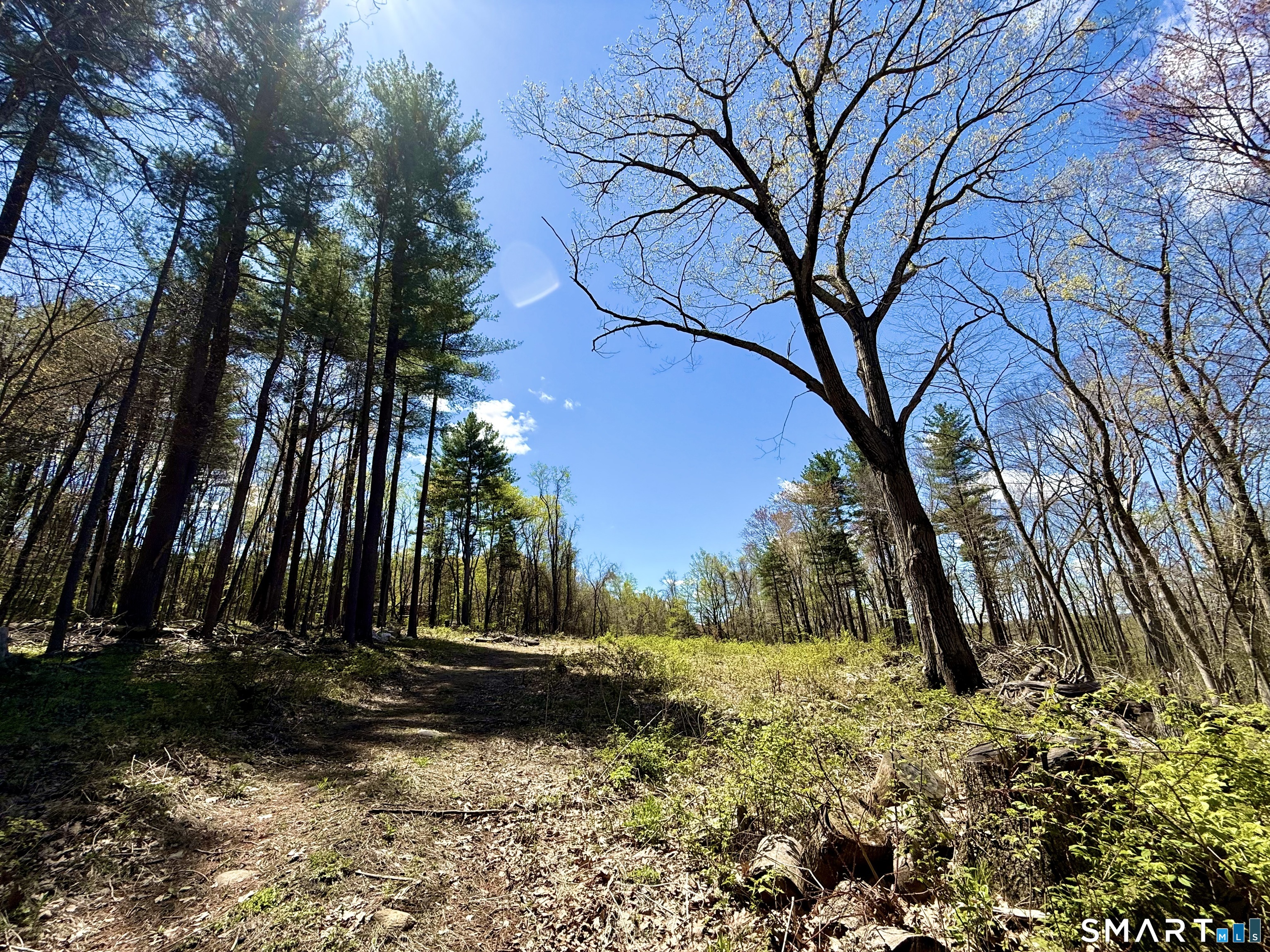 Clearview Avenue Harwinton, CT 06791 - Photo 12 of 29
