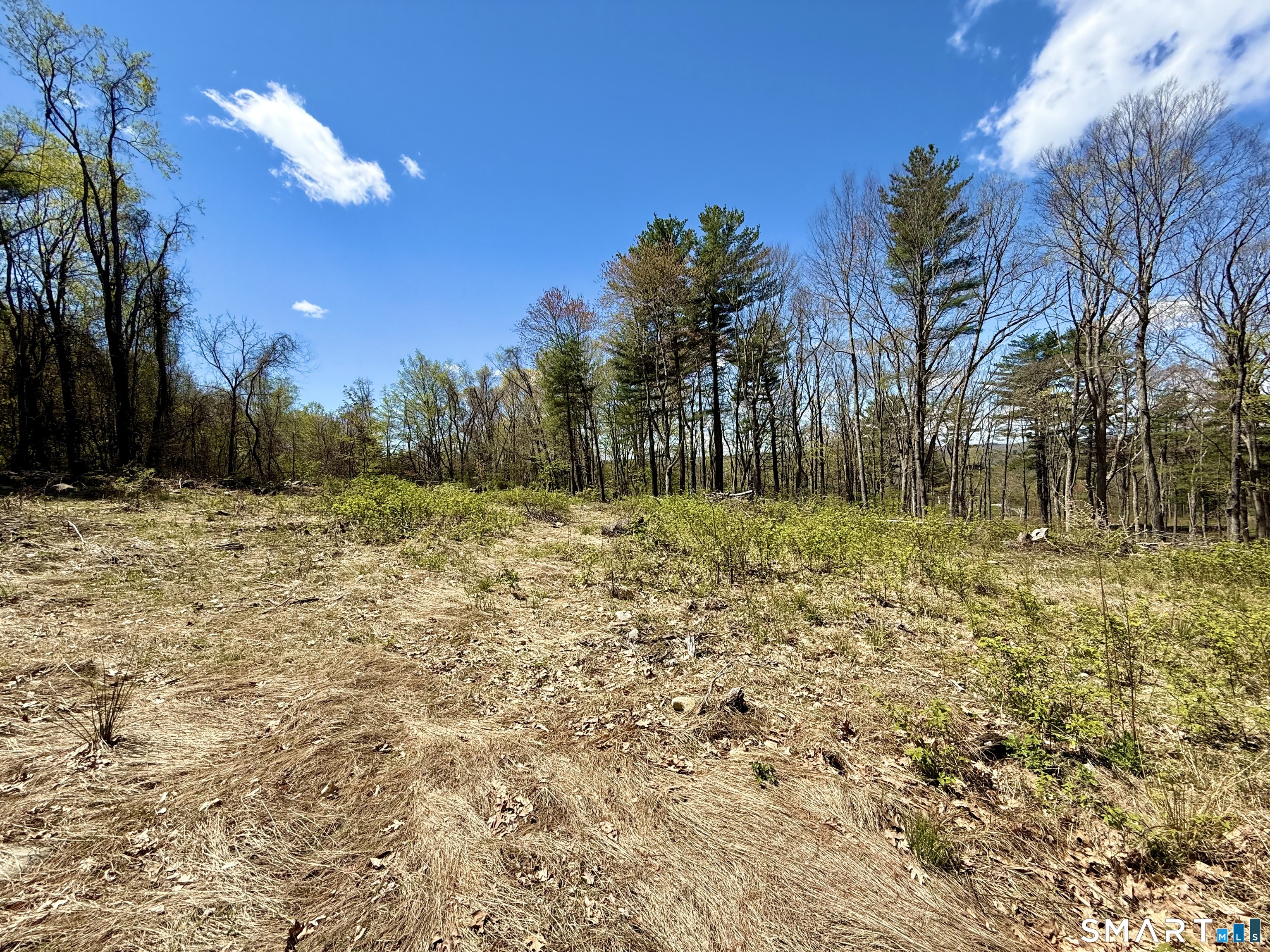 Clearview Avenue Harwinton, CT 06791 - Photo 13 of 29
