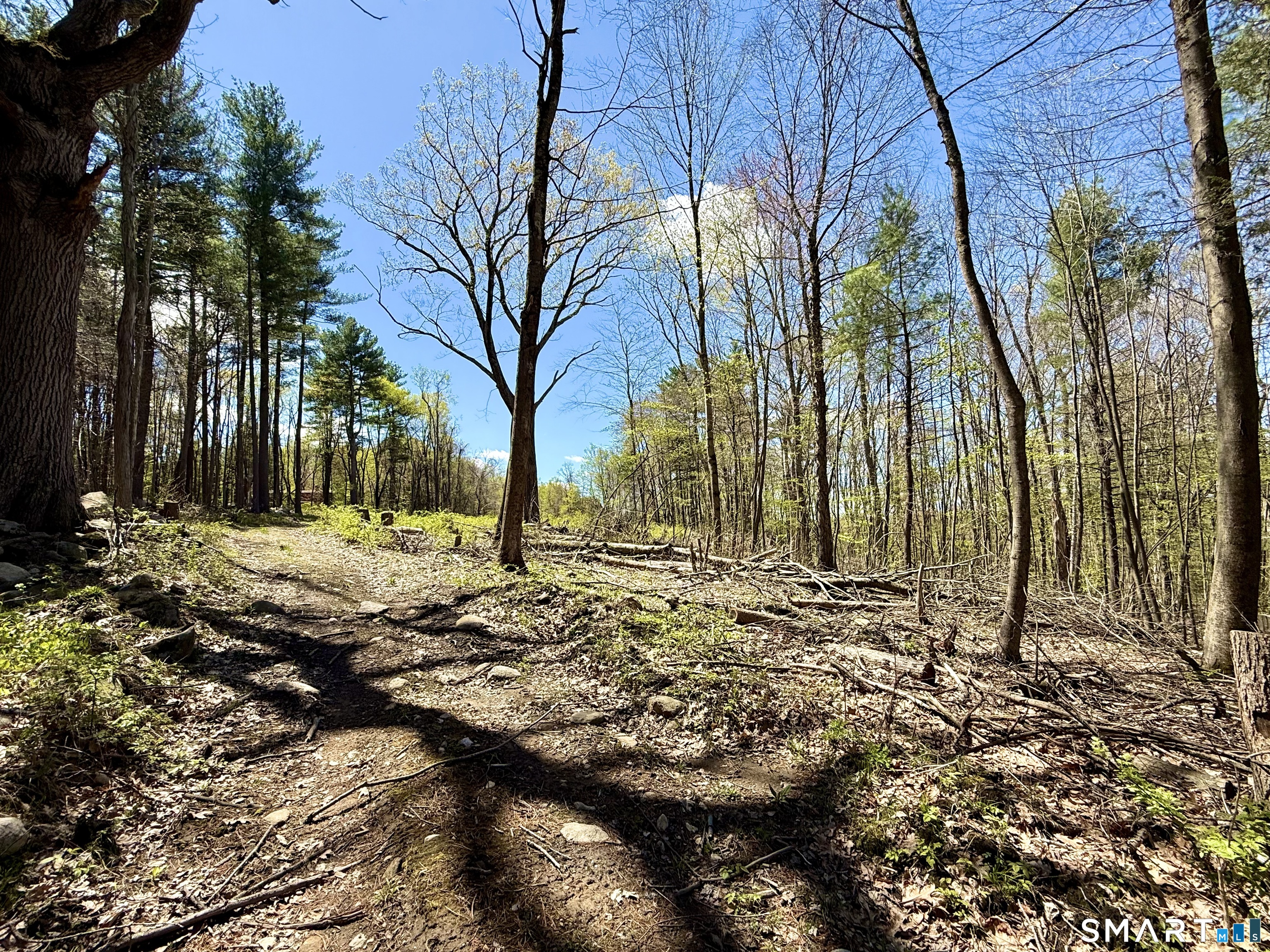 Clearview Avenue Harwinton, CT 06791 - Photo 16 of 29