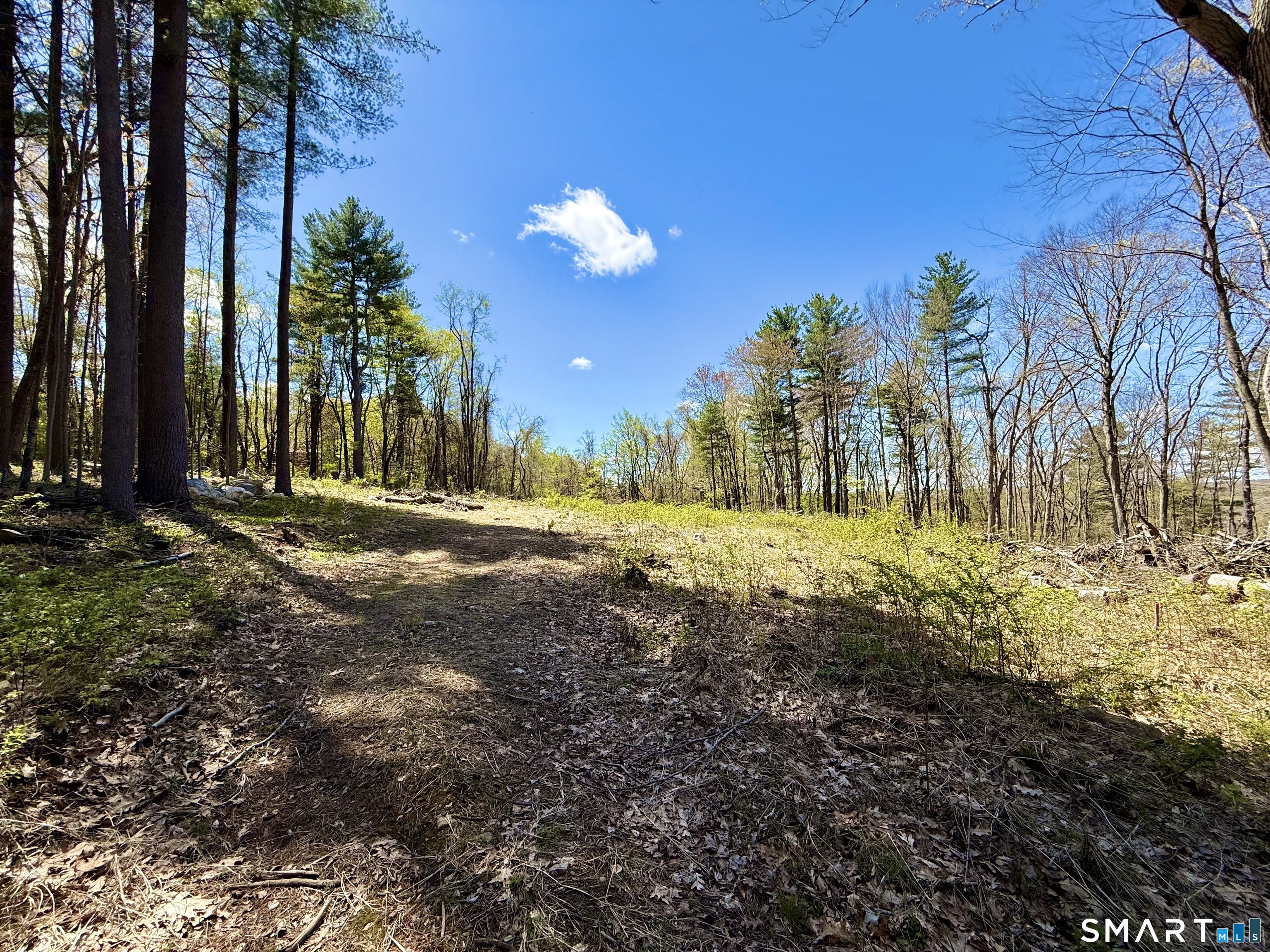 Clearview Avenue Harwinton, CT 06791 - Photo 18 of 29