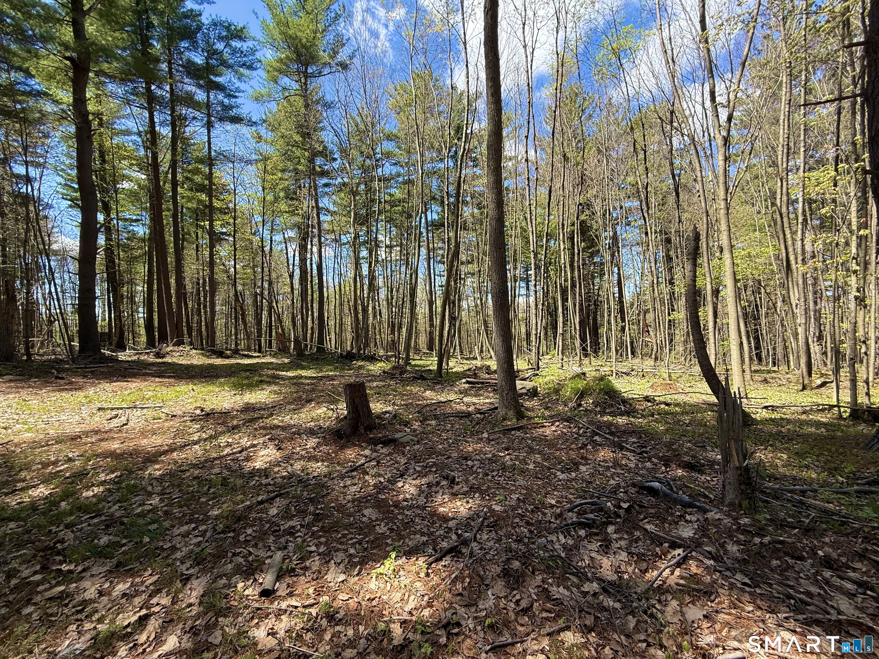 Clearview Avenue Harwinton, CT 06791 - Photo 2 of 29