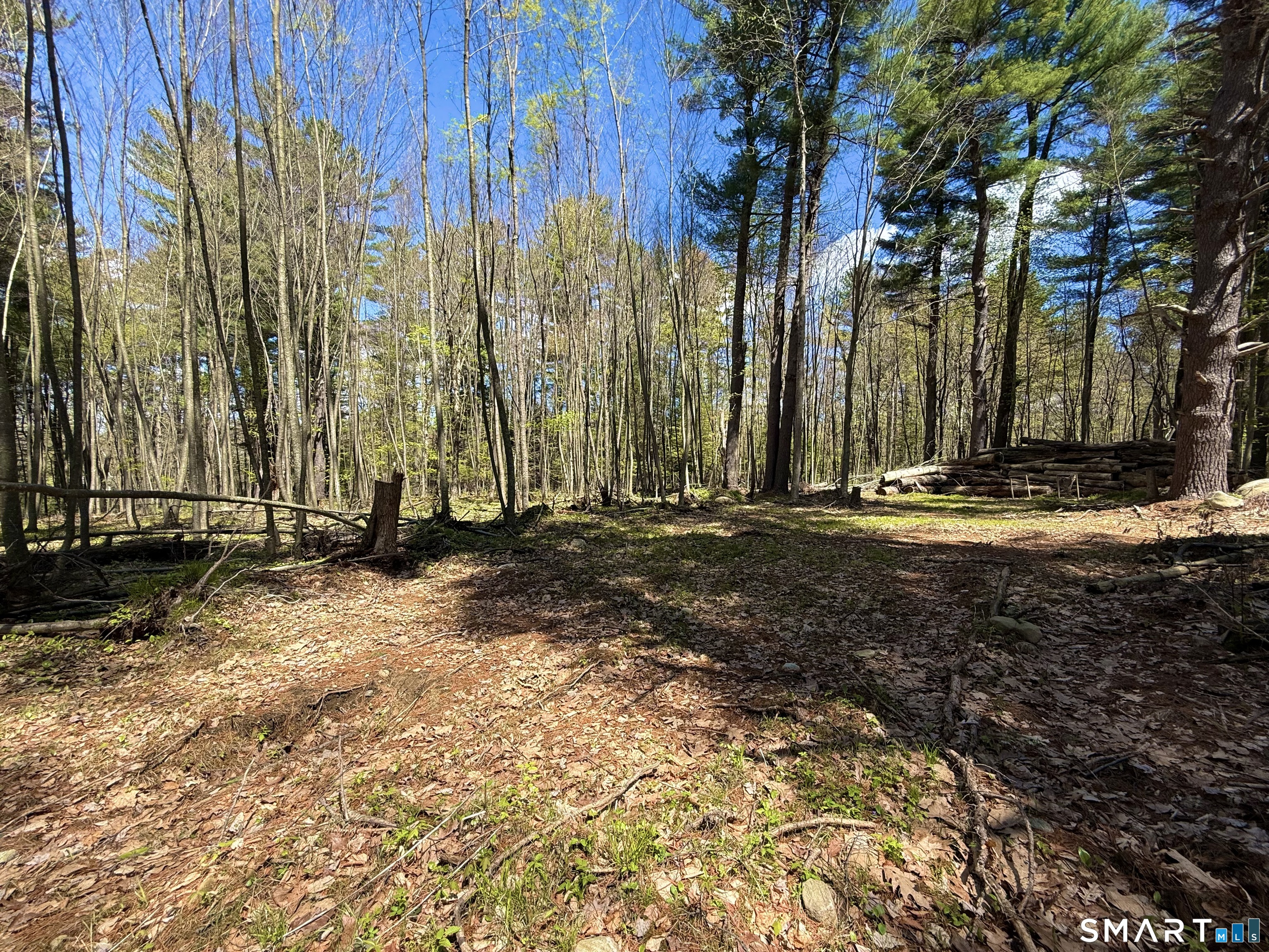 Clearview Avenue Harwinton, CT 06791 - Photo 4 of 29