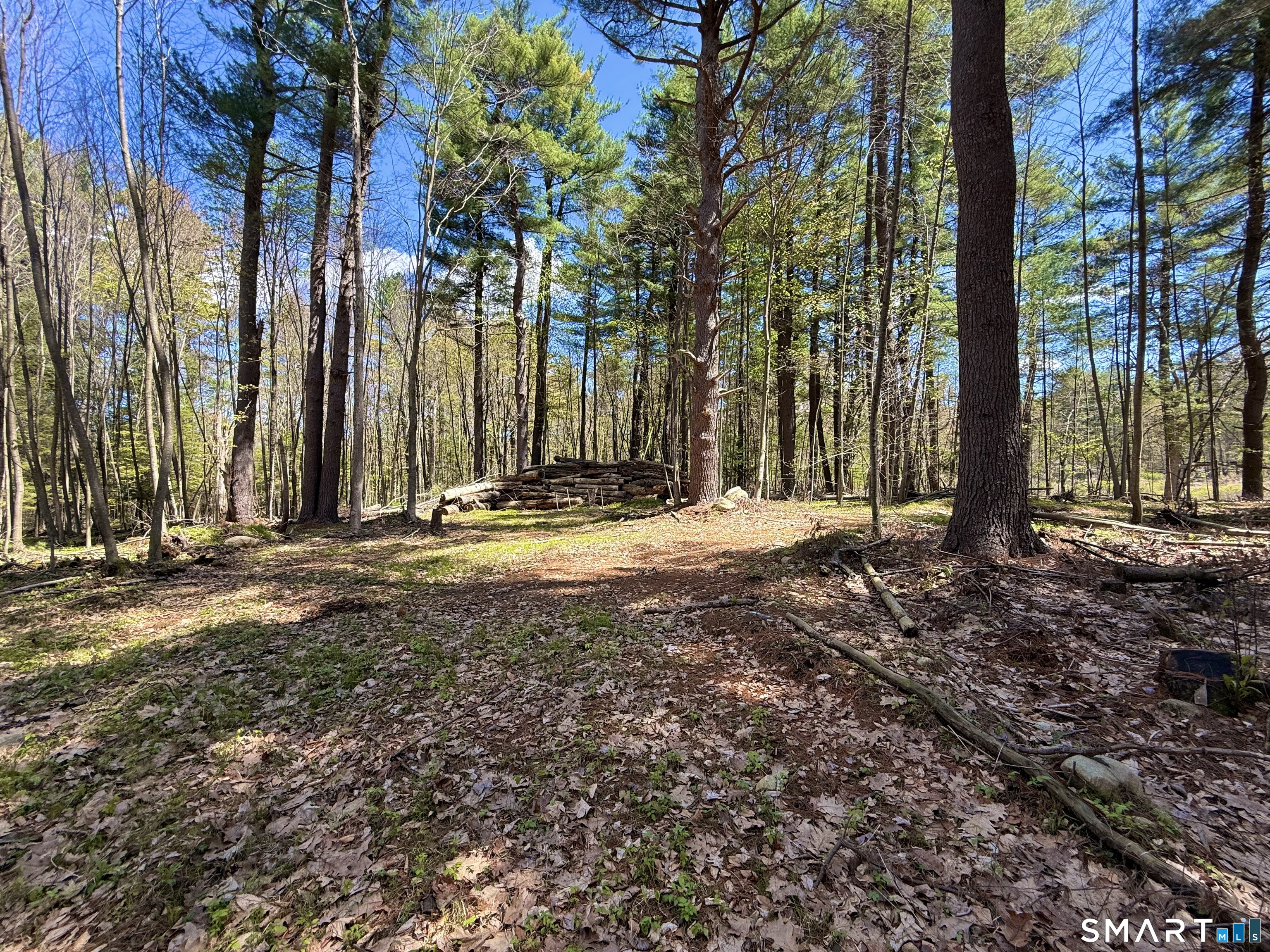 Clearview Avenue Harwinton, CT 06791 - Photo 6 of 29