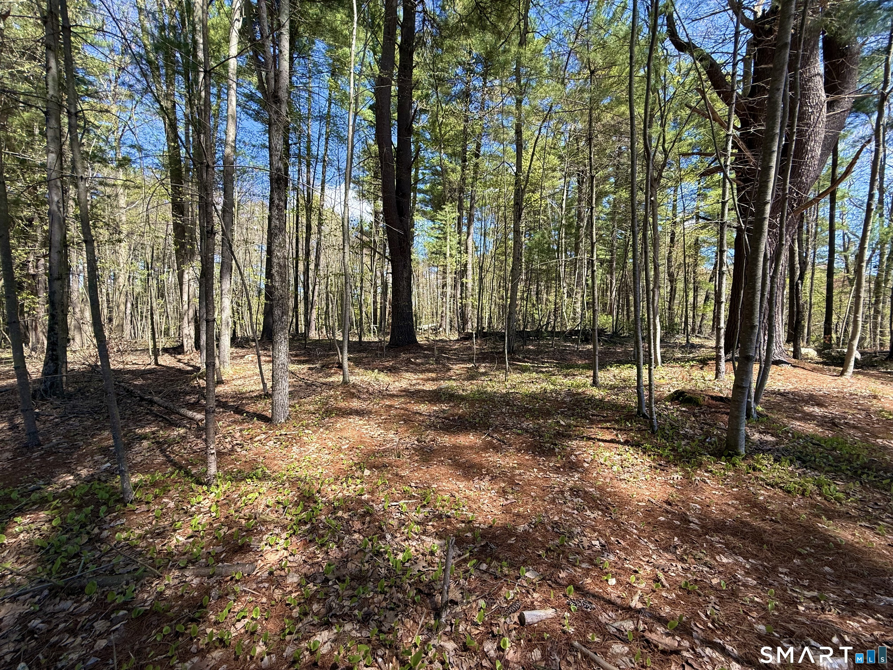 Clearview Avenue Harwinton, CT 06791 - Photo 8 of 29