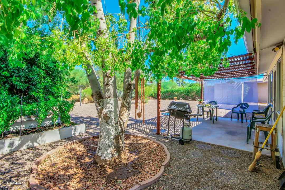 5724 East Colby Road Mesa, AZ 85205 - Photo 23 of 26 Lots of Shade