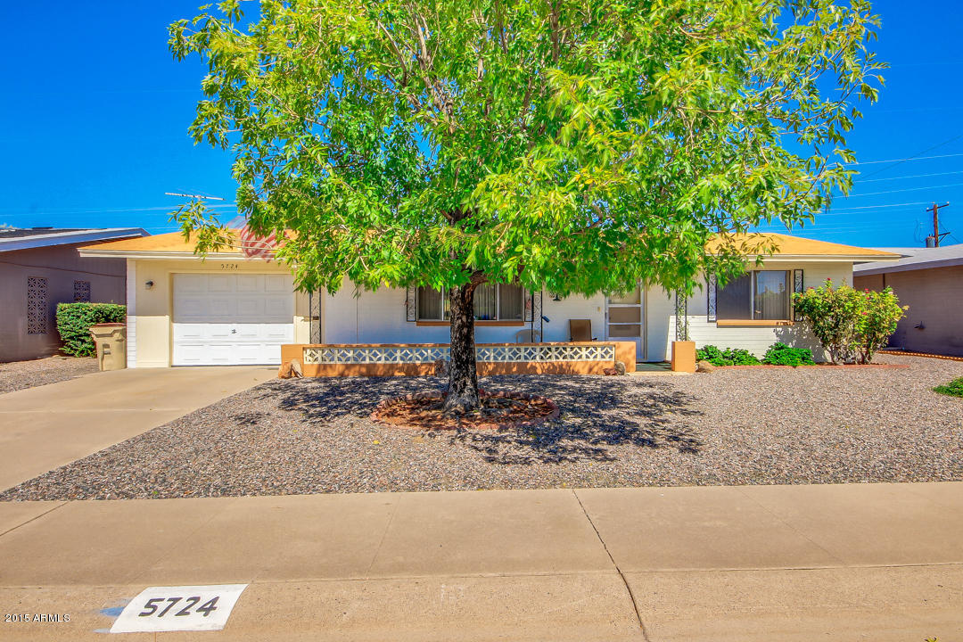 5724 East Colby Road Mesa, AZ 85205 - Photo 7 of 26 Large Shade Tree