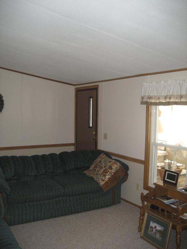 12978 Walter Road Trufant, MI 49347 - Photo 8 of 16 Additional Photo