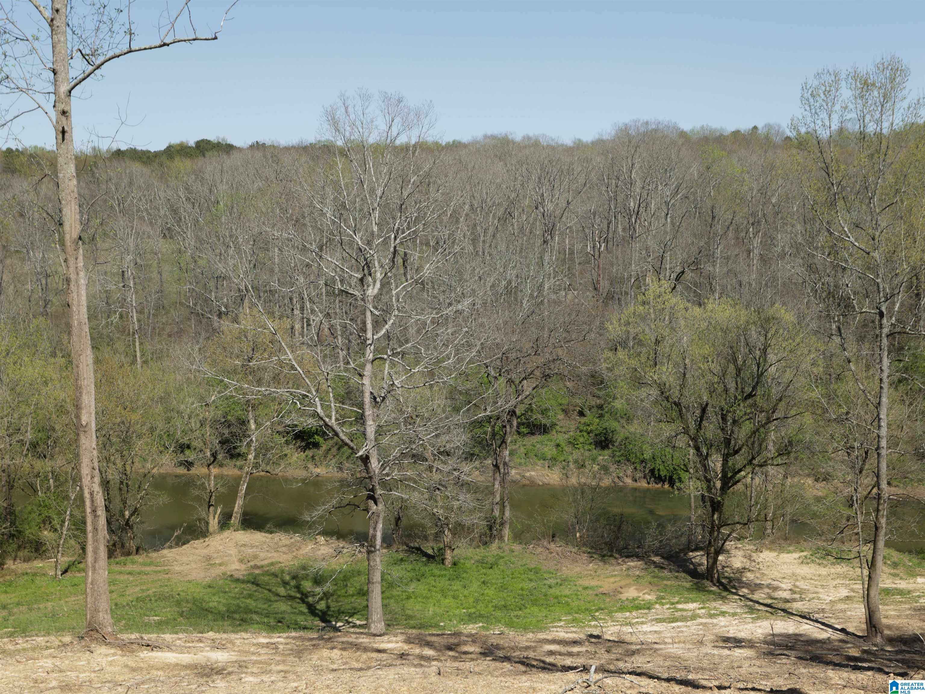 879 Timmerman Road Blountsville, AL 35031 - Photo 63 of 72