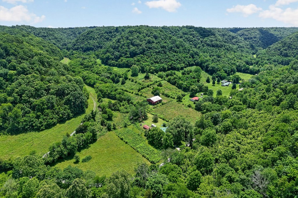 747 Hunting Creek Road Whitleyville, TN 38588 - Photo 3 of 33